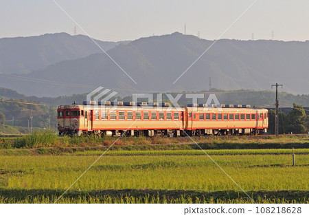 JR 四國 木葉 65-34 + 木葉 58-293 復興特快 土佐 JR 四國 木葉 65-34 + 木葉 58-293 復興特快 土佐 108218628