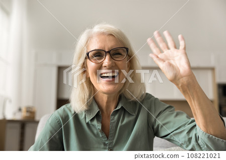 Cheerful elder woman in stylish eyeglasses talking on conference call 108221021