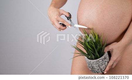 A faceless pregnant woman cuts a plant with scissors. Metaphor for epilation of the bikini area.  108221370