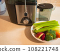 Juicer with plate of fresh vegetables 108221748