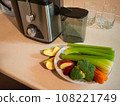 Juicer with plate of fresh vegetables 108221749