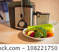 Juicer with plate of fresh vegetables 108221750