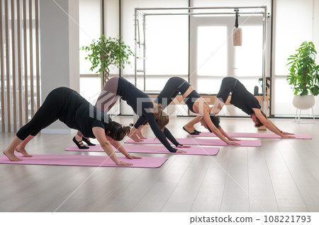 Three women and a man stand in the Downward Facing Dog pose. Group of people doing yoga.  108221793