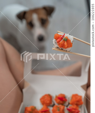 A woman sits on the sofa and eats rolls. Jack Russell Terrier dog sits on the floor and begs for food from its owner. A woman sits on the sofa and eats rolls. Jack Russell Terrier dog sits on the floor and begs for food from its owner. 108221935
