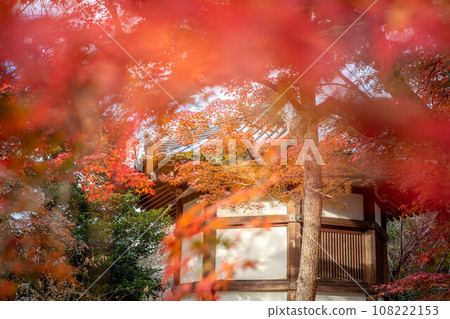 清涼寺的秋天,夕陽下的楓葉和聖德殿 清涼寺的秋天,夕陽下的楓葉和聖德殿 108222153