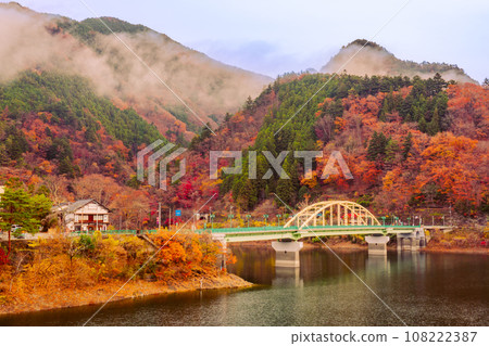 奧多摩湖的秋景2022 108222387