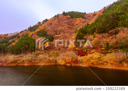 奧多摩湖的秋景2022 108222389