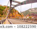 Autumn scenery of Lake Okutama 2022 108222390