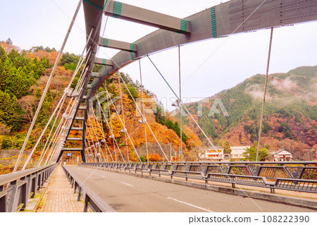 奧多摩湖的秋景2022 奧多摩湖的秋景2022 108222390