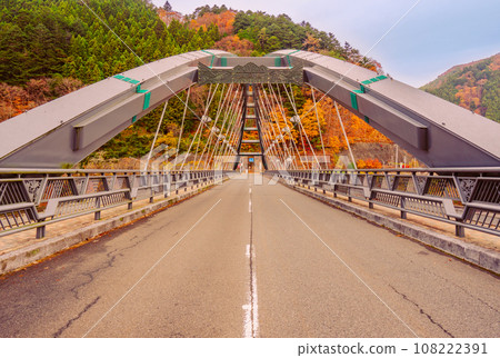 奧多摩湖的秋景2022 108222391