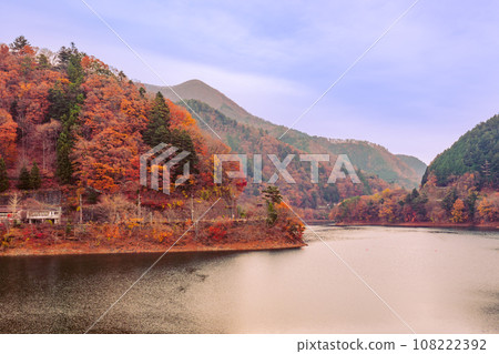 奧多摩湖的秋景2022 奧多摩湖的秋景2022 108222392