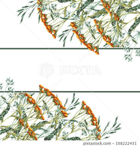 Watercolor frame of bouquet meadow leaves and yellow tansy, flowers, branches and wild dry grass. Evergreen grass field in nature, meadow in springtime. Summer botany, natural elements. Natural green 108222431
