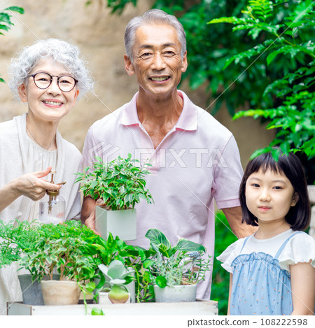 Senior couple and grandchildren gardening 108222598