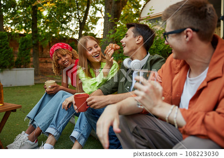 Diverse group of young people organizing picnic party outdoors 108223030