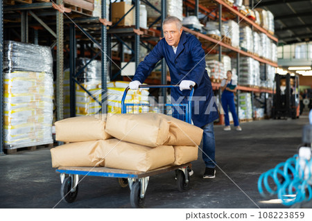 In warehouse rack area of store, loader mature man pushes and carries large cart for bulky cargo 108223859