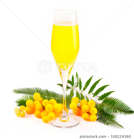 Mimosa cocktail with bubbly champagne and orange juice on white background Mimosa cocktail with bubbly champagne and orange juice on white background 108224360