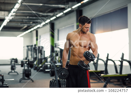 Attractive fitness man working out with dumbbells during training biceps in the gym. Sporty and healthy concept. 108224757