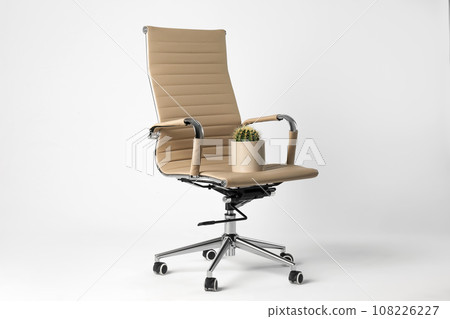 Office chair with cactus isolated on white. Hemorrhoids concept 108226227