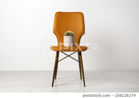 Chair with cactus near white wall. Hemorrhoids concept 108226274