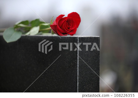 Red rose on black granite tombstone outdoors. Funeral ceremony 108226355