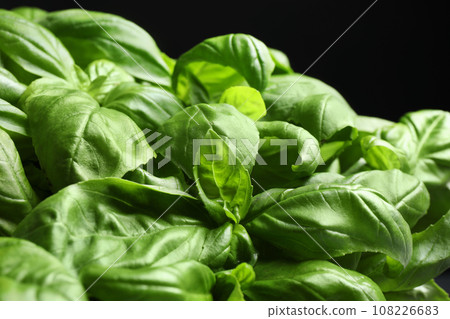 Fresh basil leaves on black background, closeup 108226683