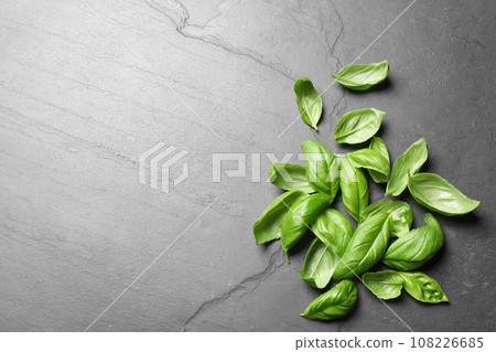 Fresh basil on grey table, flat lay. Space for text Fresh basil on grey table, flat lay. Space for text 108226685