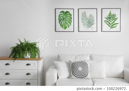 Beautiful paintings of tropical leaves over sofa in living room interior Beautiful paintings of tropical leaves over sofa in living room interior 108226972
