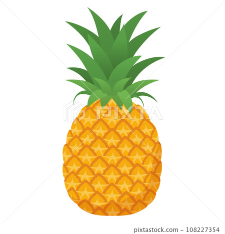 Pineapple illustration 108227354