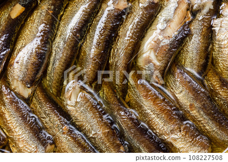 Canned fish. Smoked sprats in oil. Canned fish. Smoked sprats in oil. 108227508
