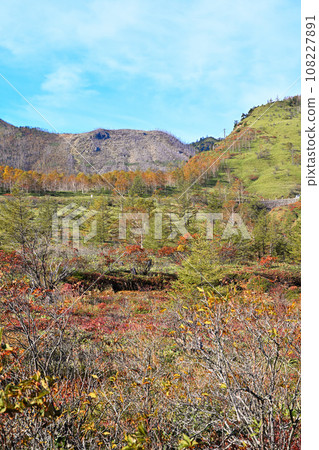 秋天，紅葉的季節。志賀草津高原路線的風景。 108227891