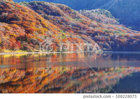 Autumn Akagi Onuma 108228073