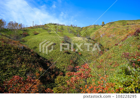 Autumn, the season of colored leaves. Scenery from the Shiga Kusatsu Highlands route. 108228295