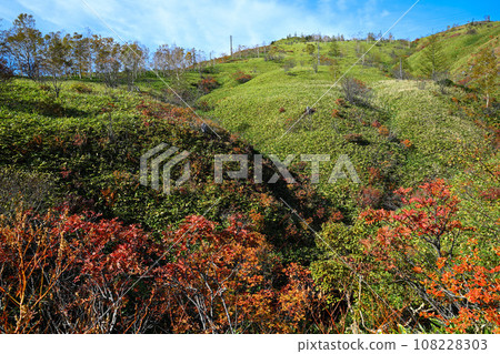 Autumn, the season of colored leaves. Scenery from the Shiga Kusatsu Highlands route. 108228303