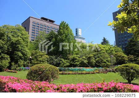 仙台市青葉區Gotodai公園宮城縣政府辦公室 仙台市青葉區Gotodai公園宮城縣政府辦公室 108229075