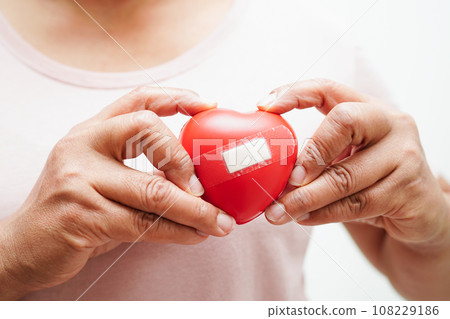 Asian woman holding human internal organ model, donation charity volunteer concept. 108229186