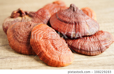Lingzhi or Reishi mushroom with capsules, organic natural healthy food. 108229283