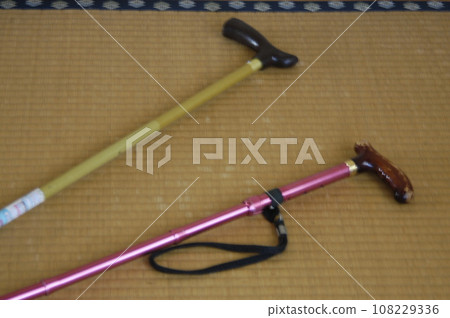 2 walking sticks 108229336