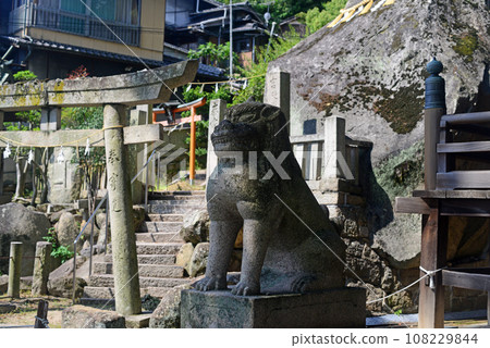 尾道篤神社的守護犬 尾道篤神社的守護犬 108229844