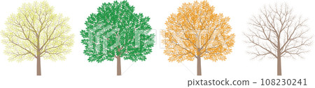 春夏秋冬四季樹木變化圖解 春夏秋冬四季樹木變化圖解 108230241