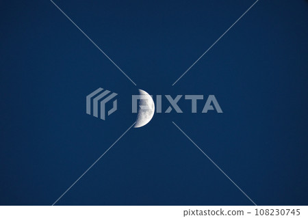 半月 半月 108230745