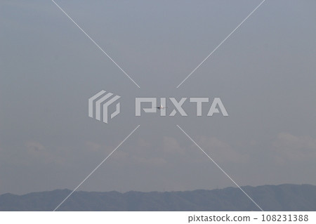 Plane landing: Itami Airport, Osaka International Airport 108231388