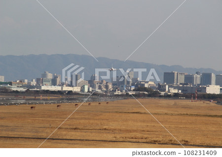Plane landing: Itami Airport, Osaka International Airport 108231409