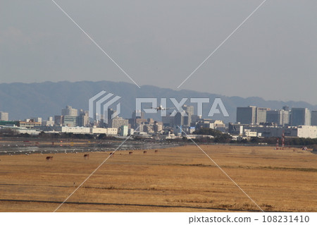 飛機降落:伊丹機場、大阪國際機場 飛機降落:伊丹機場、大阪國際機場 108231410