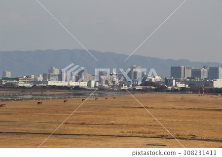飛機降落:伊丹機場、大阪國際機場 飛機降落:伊丹機場、大阪國際機場 108231411