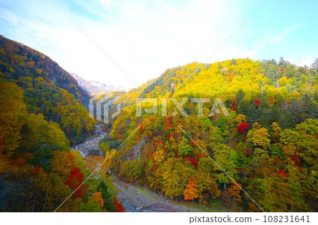 熾熱的秋天,錦秋的北海道,十月,層雲峽的秋葉,黑岳索道,乘索道攀登黑岳,紅黃色的秋葉 熾熱的秋天,錦秋的北海道,十月,層雲峽的秋葉,黑岳索道,乘索道攀登黑岳,紅黃色的秋葉 108231641