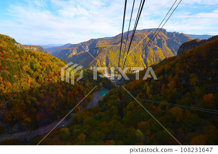 熾熱的秋天,錦秋的北海道,十月,層雲峽的秋葉,黑岳索道,乘索道攀登黑岳,紅黃色的秋葉 熾熱的秋天,錦秋的北海道,十月,層雲峽的秋葉,黑岳索道,乘索道攀登黑岳,紅黃色的秋葉 108231647