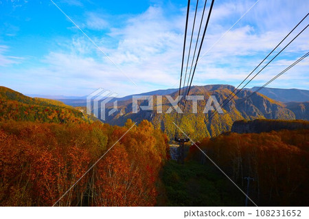 熾熱的秋天，錦秋的北海道，十月，層雲峽的秋葉，黑岳索道，乘索道攀登黑岳，紅黃色的秋葉 108231652