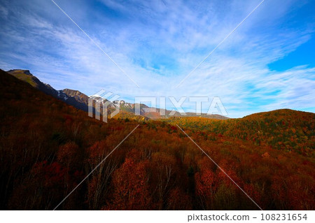 Blazing autumn, Hokkaido in brocade autumn, October, autumn leaves in Sounkyo, Mt. Kurodake ropeway, Mt. Kurodake climbed by ropeway, red-yellow autumn leaves Blazing autumn, Hokkaido in brocade autumn, October, autumn leaves in Sounkyo, Mt. Kurodake ropeway, Mt. Kurodake climbed by ropeway, red-yellow autumn leaves 108231654