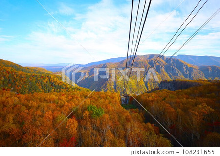 Blazing autumn, Hokkaido in brocade autumn, October, autumn leaves in Sounkyo, Mt. Kurodake ropeway, Mt. Kurodake climbed by ropeway, red-yellow autumn leaves 108231655