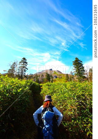 熾熱的秋天，錦秋的北海道，十月，層雲峽的秋葉，黑岳索道，乘索道攀登黑岳，紅黃色的秋葉 108231695